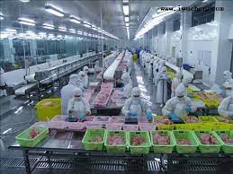 食品加工廠新工廠規(guī)劃的要點(diǎn)有哪些？