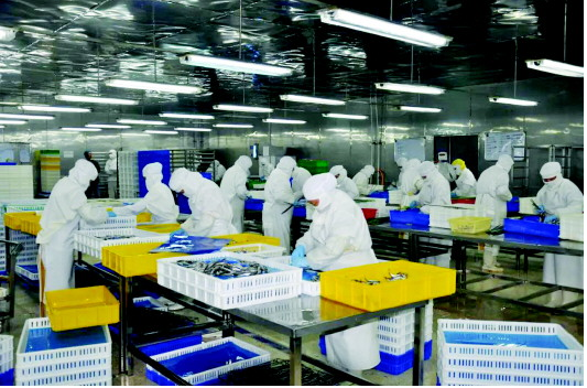 食品加工廠新工廠規(guī)劃方案該怎么寫(xiě)？