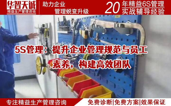 5S管理：提升企業(yè)管理規(guī)范與員工素養(yǎng)，構(gòu)建高效團(tuán)隊(duì)
